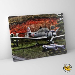 Obraz PZL TS-8 BIES